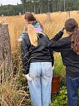 Mit dem Spaten für den Wald - die beiden neunten Klassen der Regelschule Niedersachswerfen halfen bei der Wiederaufforstung im Harz (Foto: Tanita Thelemann) Mit dem Spaten für den Wald - die beiden neunten Klassen der Regelschule Niedersachswerfen halfen bei der Wiederaufforstung im Harz (Foto: Tanita Thelemann)