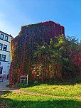 Herbststimmung in Nordhausen (Foto: P.Blei)