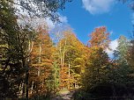 Herbstwanderung im Südharz (Foto: agl) Herbstwanderung im Südharz (Foto: agl)