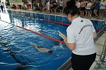 22. Stadtmeisterschaft des Schwimmvereins SVN '90 im Badehaus (Foto: agl)