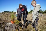 Bei der Baumpflanzaktion bei Rothes&uuml;tte halfen auch viele Familien mit.  (Foto: ssc)