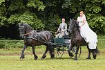 Die traditionelle W&uuml;lfinger&ouml;der Ponyschau kehrt im Juni zur&uuml;ck (Foto: PRFZV W&uuml;lfingerode)
