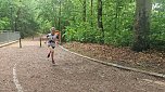 Im Gehege fand heute wieder der Kreiscrosslauf statt (Foto: agl)