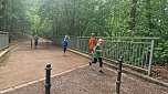 Im Gehege fand heute wieder der Kreiscrosslauf statt (Foto: agl)