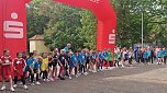 Im Gehege fand heute wieder der Kreiscrosslauf statt (Foto: agl)