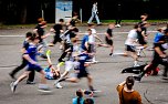 Eindr&uuml;cke vom Gehege-Crosslauf (Foto: Christoph Keil)