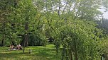 Parkfest und Parknick zum Muttertag im Park Hohenrode in Nordhausen (Foto: agl)