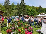 Impressionen vom Rhododendren-Fest in S&uuml;lzhayn. (Foto: Peter Blei)