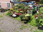 Impressionen vom Rhododendren-Fest in S&uuml;lzhayn. (Foto: Peter Blei)
