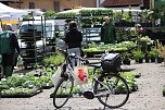 Zum zweiten Mal in diesem Jahr hatte die Gemeinde Kelbra zum Bauernmarkt eingeladen. (Foto: Ulrich Reinboth) Zum zweiten Mal in diesem Jahr hatte die Gemeinde Kelbra zum Bauernmarkt eingeladen. (Foto: Ulrich Reinboth)