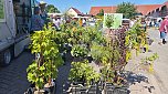 2. Bauernmarkt auf dem Scheunenhof in Sundhausen (Foto: nnz)
