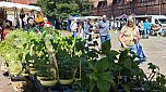 2. Bauernmarkt auf dem Scheunenhof in Sundhausen (Foto: nnz)