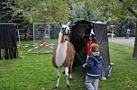 "Vielfalt tut gut" - Stra&szlig;enfest beim Falken (Foto: nnz-City Scout Sven G&auml;mkow)