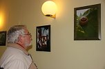 Ausstellung eröffnet (Foto: J. Piper) Ausstellung eröffnet (Foto: J. Piper)
