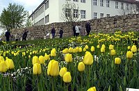 Bild: 