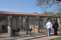 Bild: Fr&uuml;hlingsfest im Tierheim Nordhausen