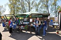 Bild: Fischfest in Auleben
