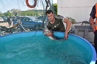 Bild: Fischfest in Auleben