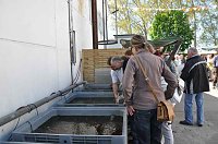 Bild: Fischfest in Auleben