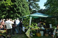 Bild: Parkfest im Park Hohenrode