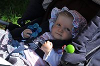 Bild: Parkfest im Park Hohenrode