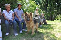 Bild: Parkfest im Park Hohenrode