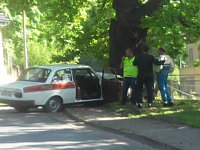 Bild: Ab durch's Gehege