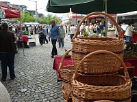 Bild: Blumen und mehr