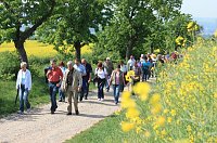 Bild: Unterwegs im Wald