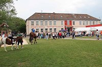 Bild: Niedersalza feierte