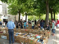 Bild: B&uuml;cher, B&uuml;cher und nochmals B&uuml;cher