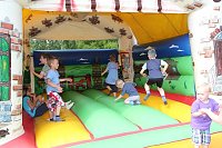 Bild: Buntes Treiben bei den Falken