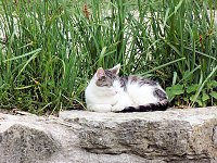 Bild: Auf dem Possen bei Sondershausen