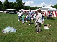 Bild: Was f&uuml;r ein Fest! 