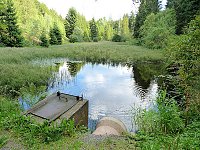 Bild: Bilder aus Sorge