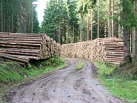 Bild: Bilder aus Sorge