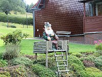Bild: Bilder aus Sorge