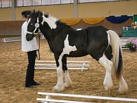 Lazu Bild: Lazu