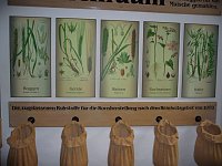 Bild: Unterwegs in Nordhausen