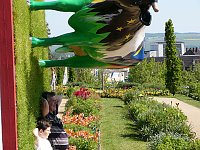 Bild: 