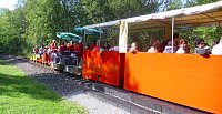 Narren auf Ausflug Bild: Narren auf Ausflug