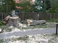 Bild: Gefahr beseitigt