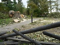 Bild: Gefahr beseitigt