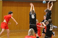 Gelungener Auftakt der Handballer Bild: Gelungener Auftakt der Handballer