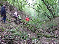 Bild: Steigerthaler Wandertag