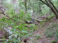 Bild: Steigerthaler Wandertag