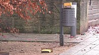Bild: B&ouml;llerabfall auf den Stra&szlig;en