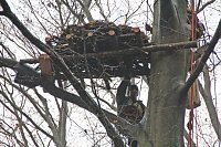 Bild: Kunsthorst f&uuml;r Storch