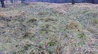 Bild: Arbeitseinsatz
