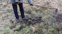 Bild: Arbeitseinsatz